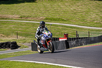 Lower Group Multicolour Bikes